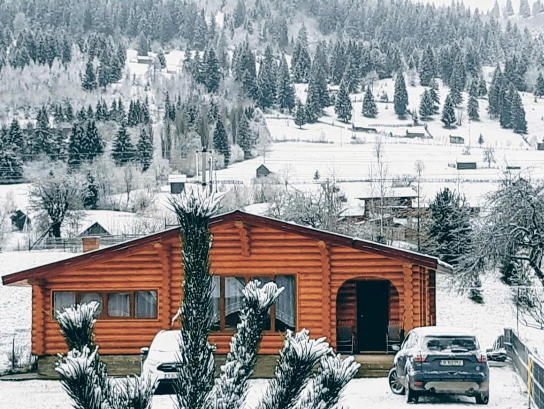 Cabana Alesia, Relaxare La Poalele Raraului Câmpulung Moldovenesc Exteriör bild