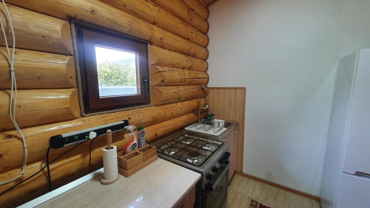 Cabana Alesia, Relaxare La Poalele Raraului Câmpulung Moldovenesc Exteriör bild