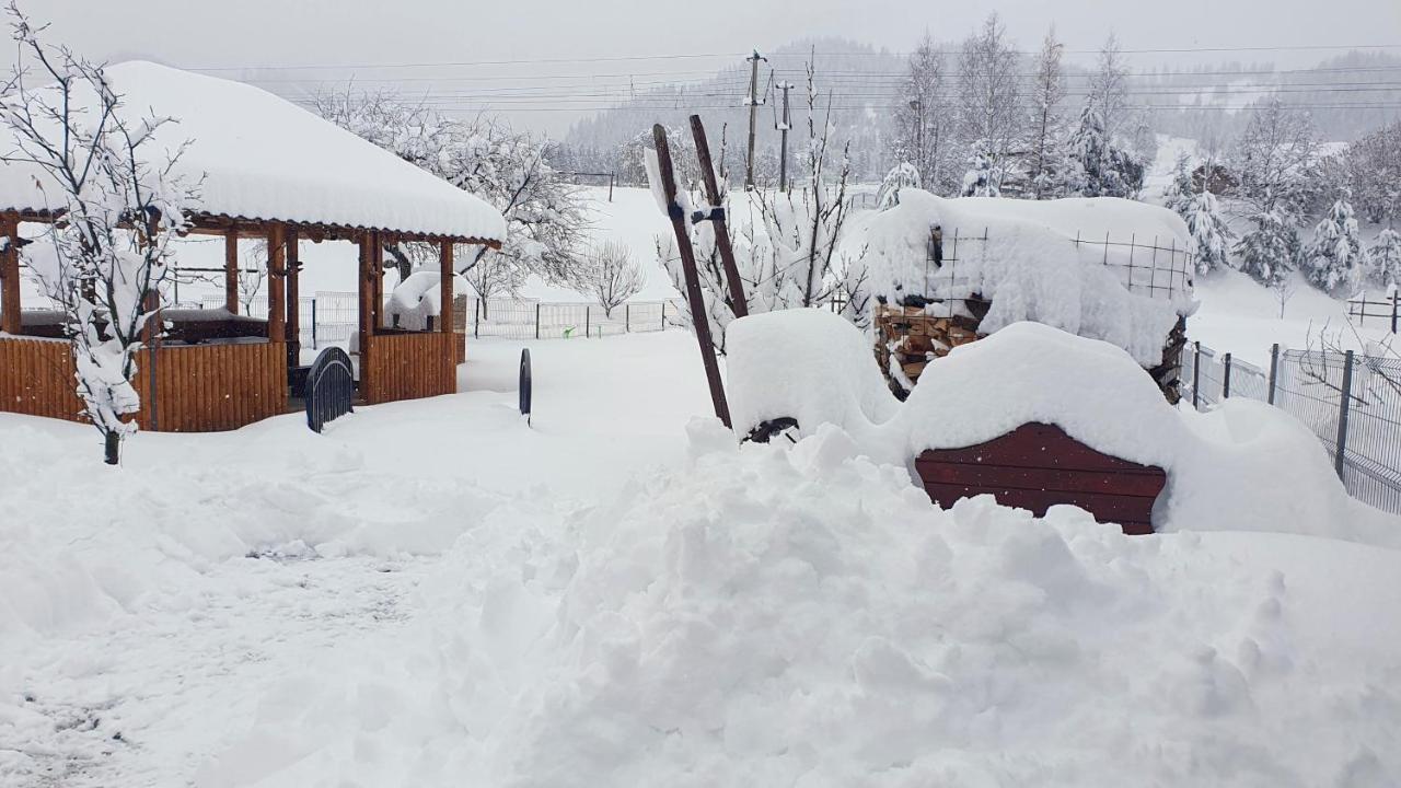 Cabana Alesia, Relaxare La Poalele Raraului Câmpulung Moldovenesc Exteriör bild