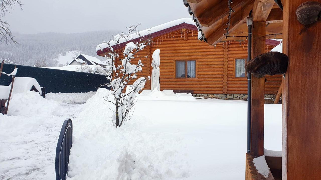 Cabana Alesia, Relaxare La Poalele Raraului Câmpulung Moldovenesc Exteriör bild